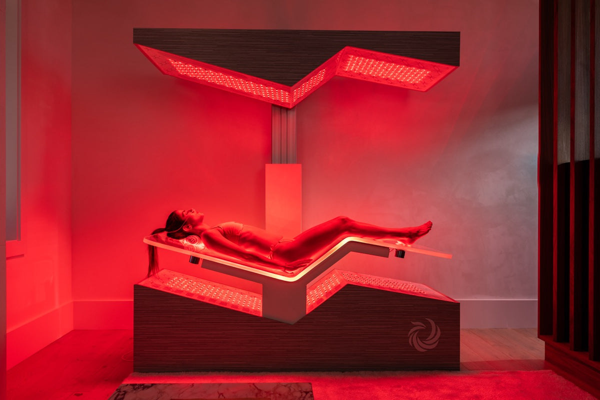 Ammortal Chamber | Ammortal