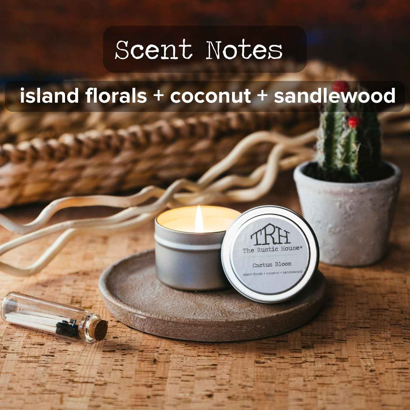 Cactus Bloom Travel Tin Candle | The Rustic House