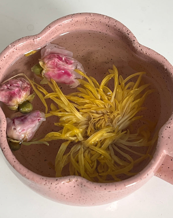 Rose Bud | The Qi