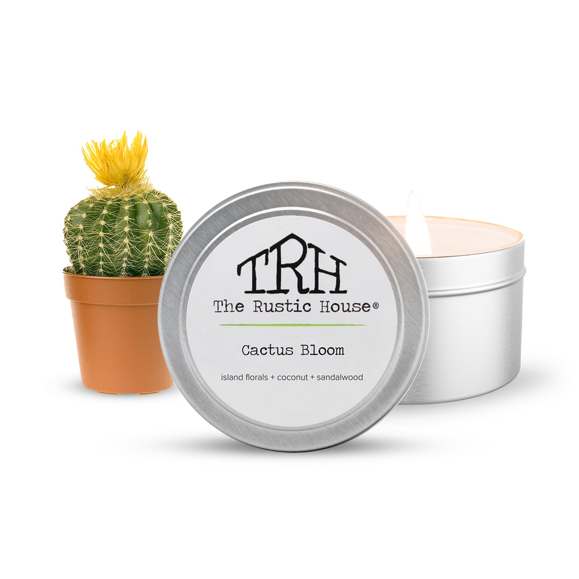Cactus Bloom Travel Tin Candle | The Rustic House