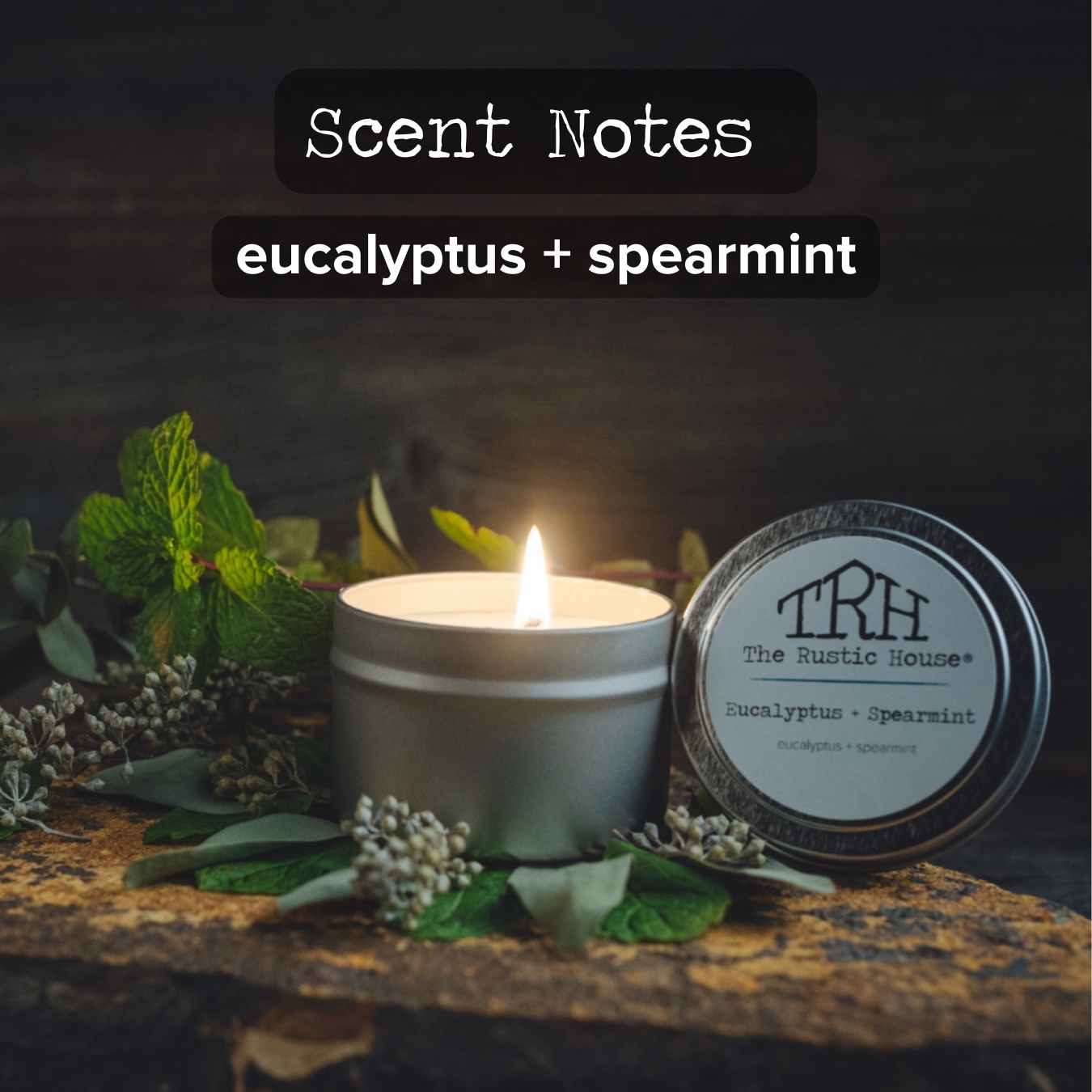 Eucalyptus + Spearmint Travel Tin Candle | The Rustic House