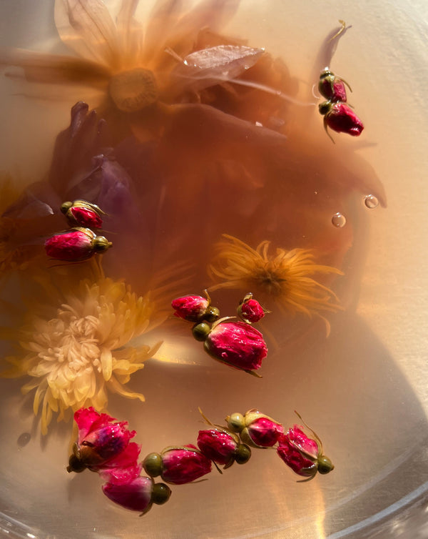 Rose Bud | The Qi