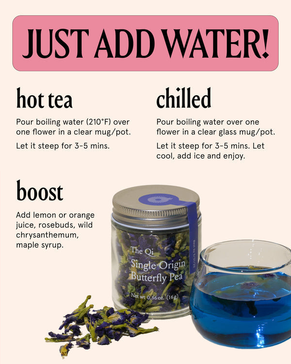 Butterfly Pea | The Qi