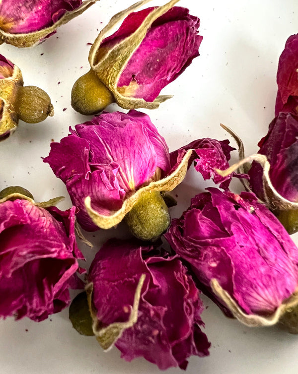 Rose Bud | The Qi