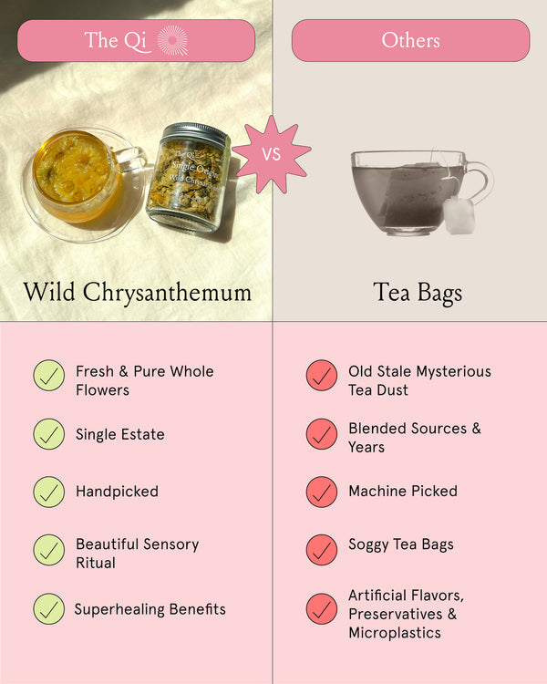 Wild Chrysanthemum | The Qi