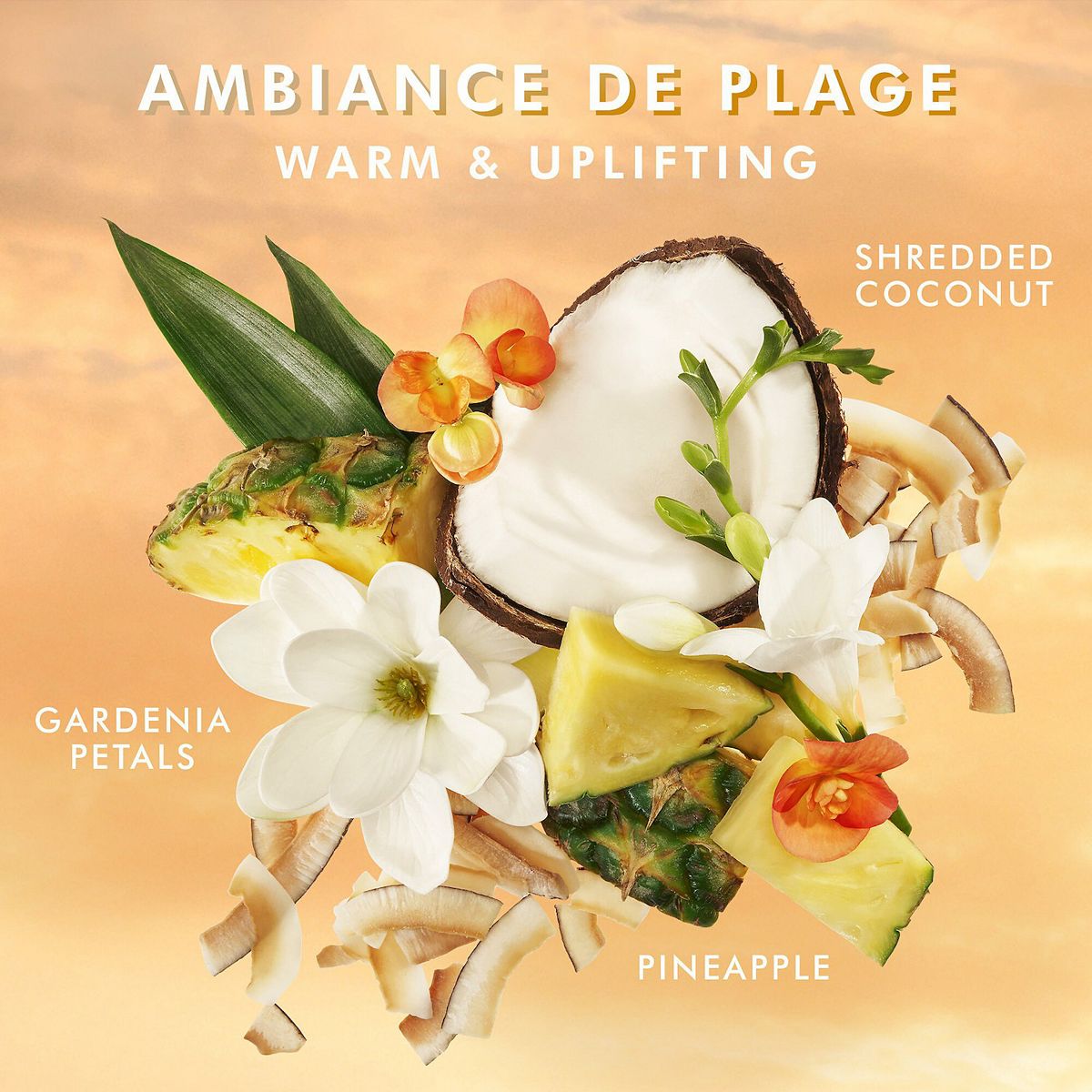 Shower Gel | Moroccanoil