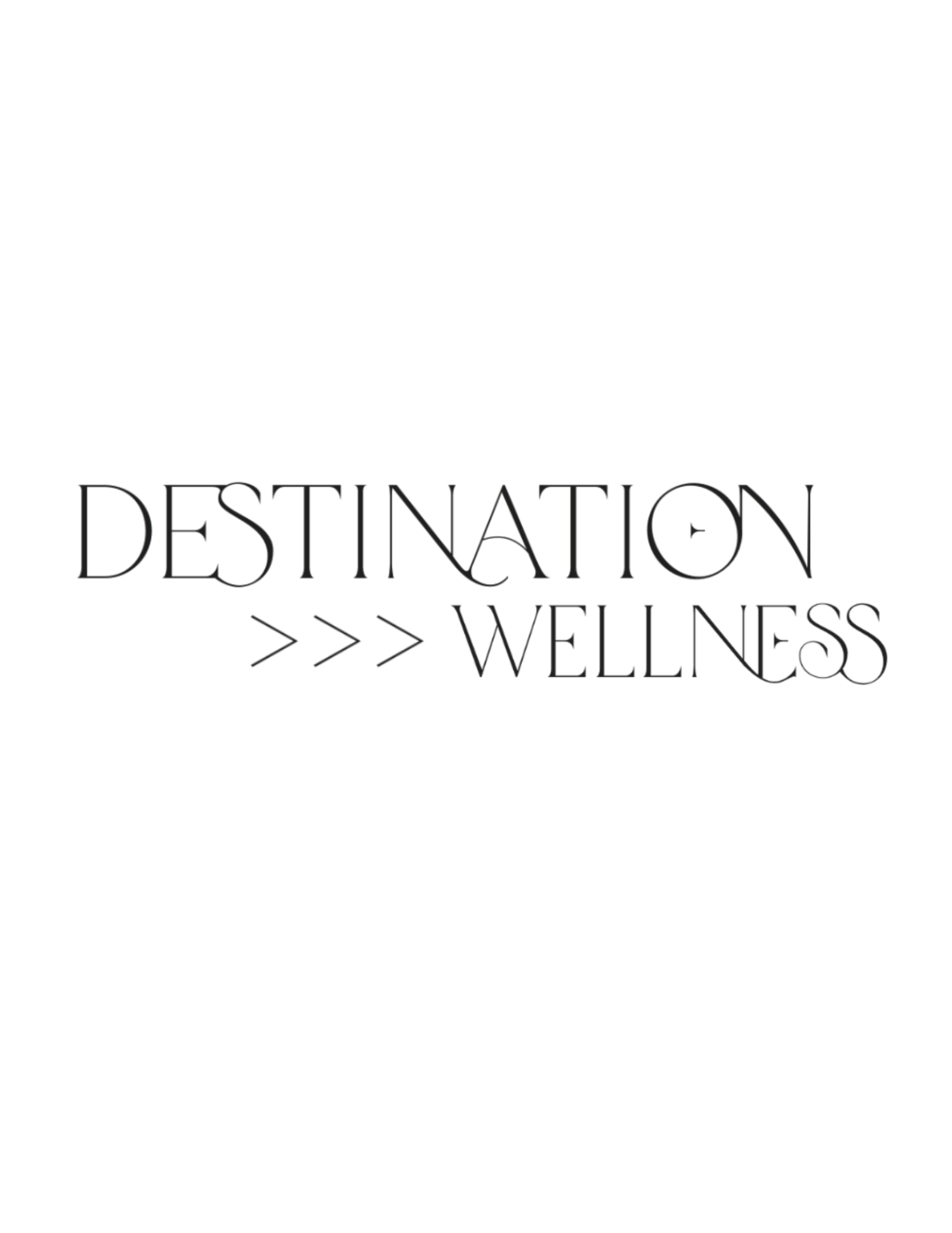 2024 Destination Wellness Box