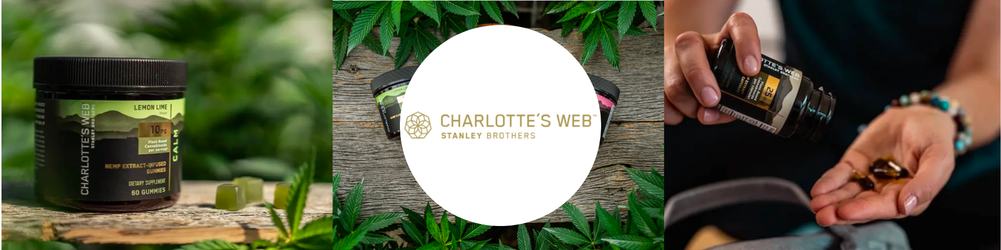 Charlotte's Web