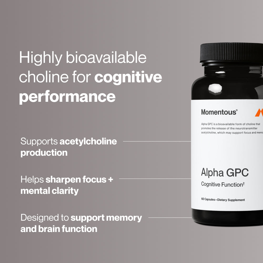 Bottle of Alpha GPC dietary supplement capsules designed to support cognitive function and brain health with a clean white and black label.