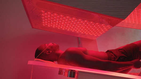 Ammortal Chamber | Ammortal