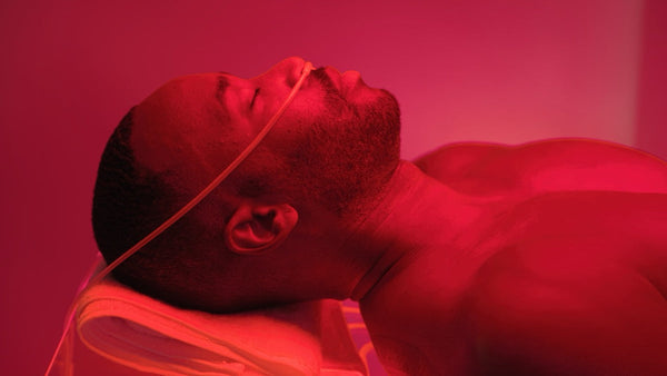 Ammortal Chamber | Ammortal