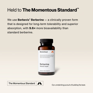 Bottle of Berberine dietary supplement from Momentous shown with text highlighting its clinically proven formula for better absorption and long-term tolerability.