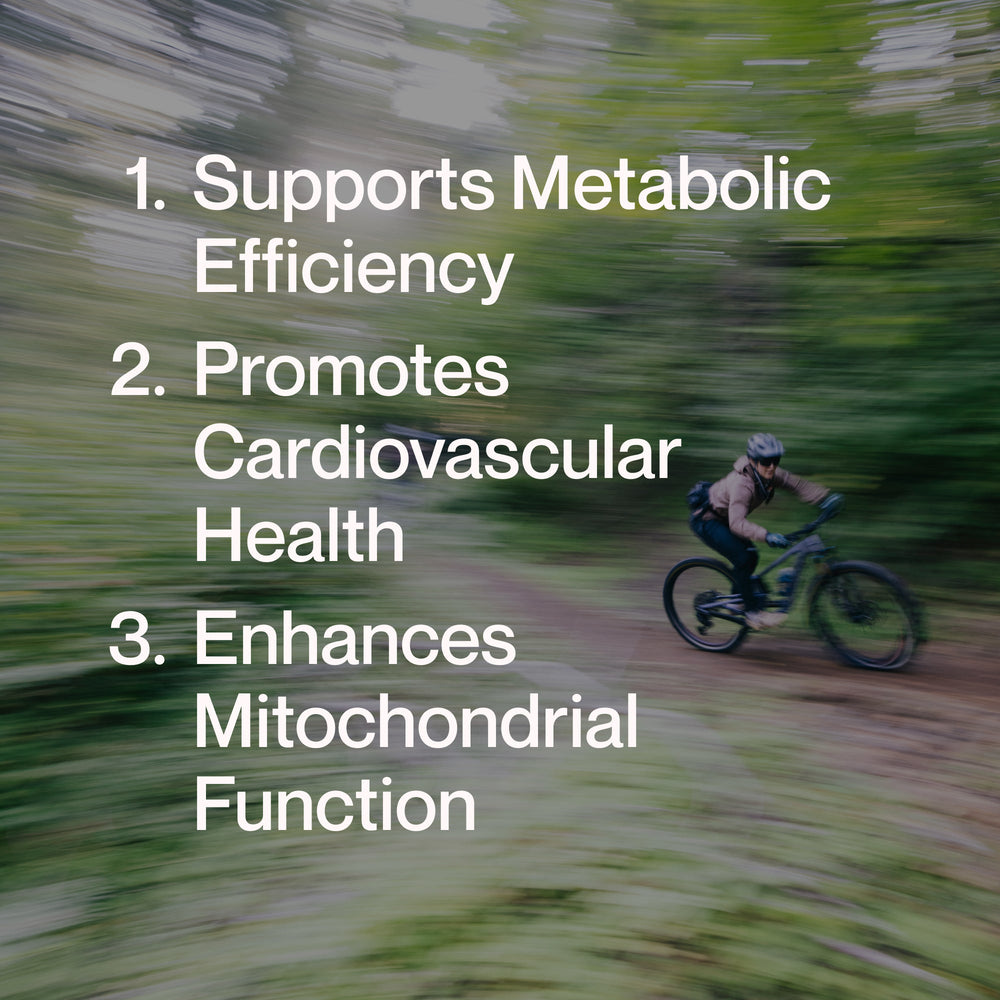 Bottle of Berberine dietary supplement by Momentous, supporting metabolic health with advanced bioavailability, containing 60 capsules for wellness supplementation.