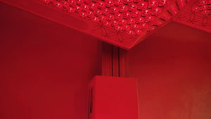 Ammortal Chamber | Ammortal