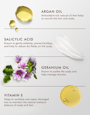 Dry Scalp Treatment | Moroccanoil