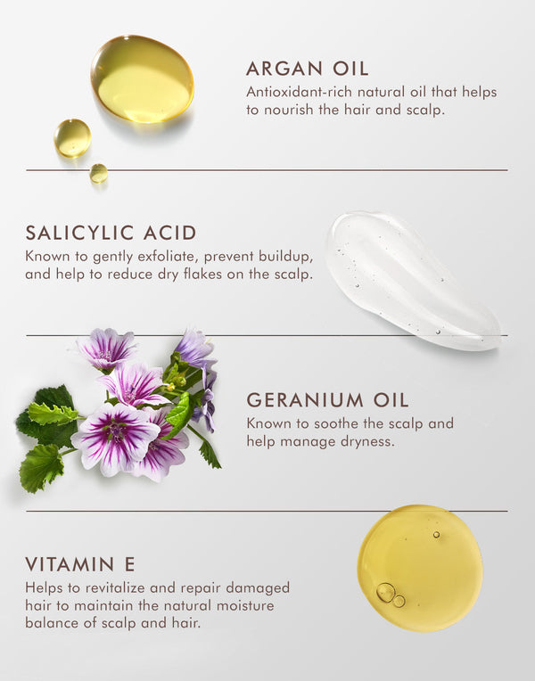 Dry Scalp Treatment | Moroccanoil