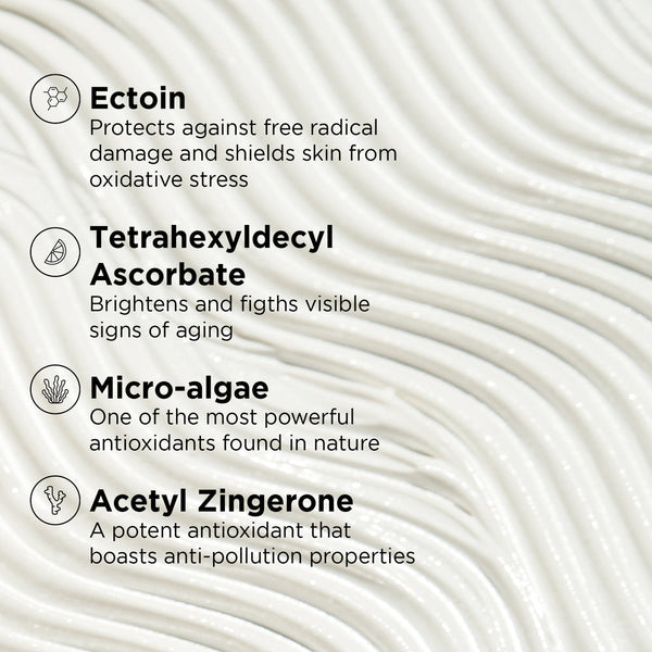 List of key antioxidants and ingredients in DAILY PREVENTION Ultra Defense Moisturizer SPF 50 | IMAGE Skincare and their benefits for skin protection and anti-aging.