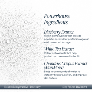 Close-up of water droplets on a white surface with text describing powerhouse ingredients including blueberry extract, white tea extract, and Chondrus Crispus extract, highlighting antioxidant and hydrating benefits in the Discovery Essentials Kit | Circadia.