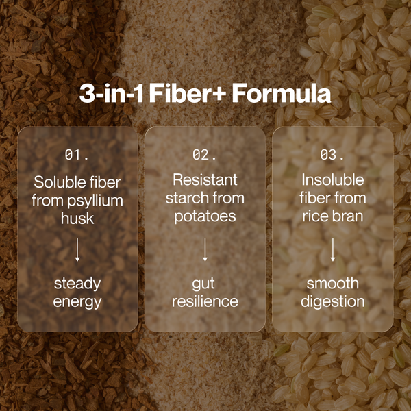 3-in-1 Fiber+ Formula for Fiber+ 10-Travel Packs highlighting soluble fiber from psyllium husk for steady energy, resistant starch from potatoes for gut resilience, and insoluble fiber from rice bran for smooth digestion.