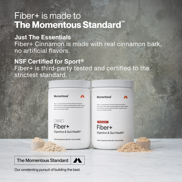 Two white containers of Fiber+ dietary supplement for digestive and gut health with powdered supplement piles on a marble surface and text highlighting real cinnamon bark ingredients and NSF Certified for Sport certification.