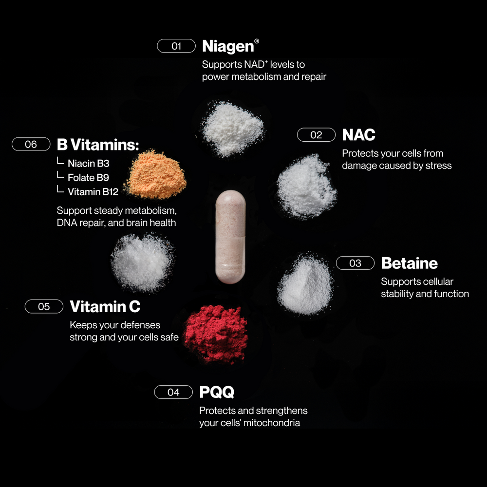 A brown jar with a black lid containing 90 capsules of the dietary supplement Longevity, designed to support cellular health with science-backed ingredients.