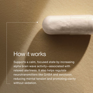 Close-up of a white capsule beside text explaining L-Theanine’s benefits for promoting calm, mental clarity, and focused alertness by regulating neurotransmitters and brain wave activity.