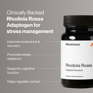 Dark bottle of Rhodiola Rosea supplement next to text highlighting benefits such as improved endurance, stress resilience, cognitive support, and cortisol regulation.