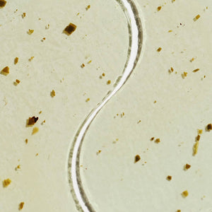 Moodpatch™ Perk Up | Patchology