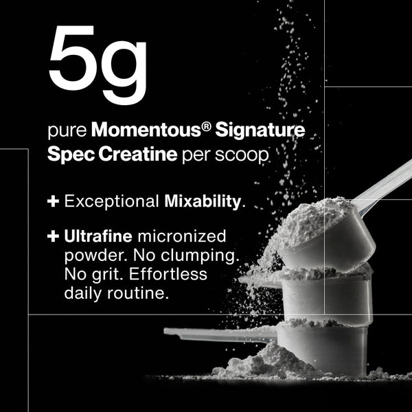 Close-up of a scoop filled with fine white creatine powder, highlighting 5g pure Momentous Signature Spec Creatine per scoop with exceptional mixability and ultrafine micronized texture for easy daily use, shown against a black background with powder particles falling. Creatine - 90 Servings.