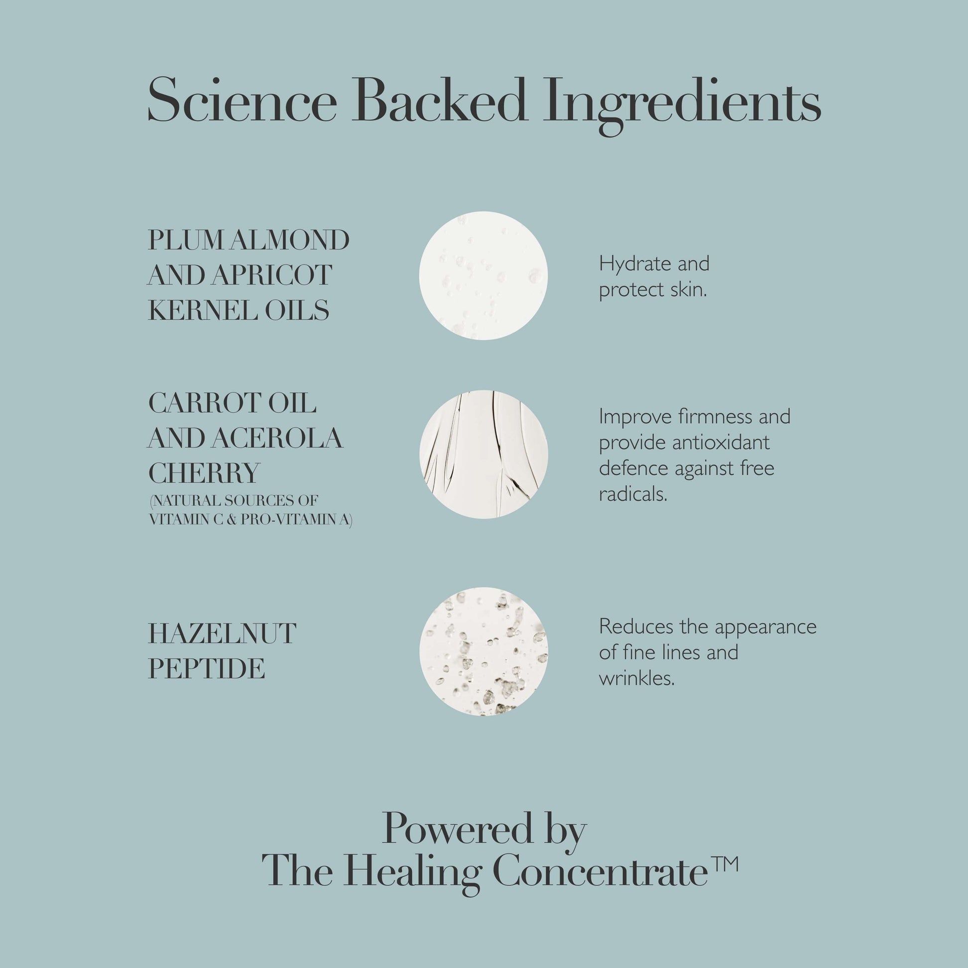 Rejuvenating Night Cream | Omorovicza