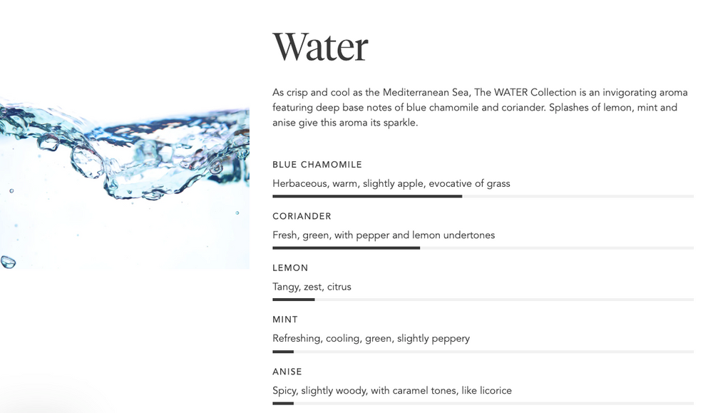 Age Defying Probiotic Lotion | Zents