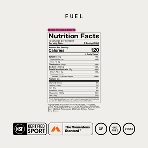 Fuel