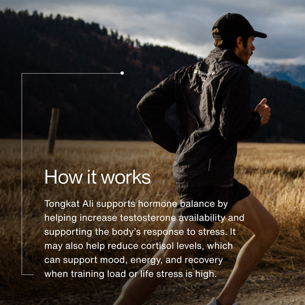 Man jogging outdoors in a natural setting next to text explaining how Tongkat Ali supports hormone balance, testosterone availability, and cortisol levels for mood, energy, and recovery.