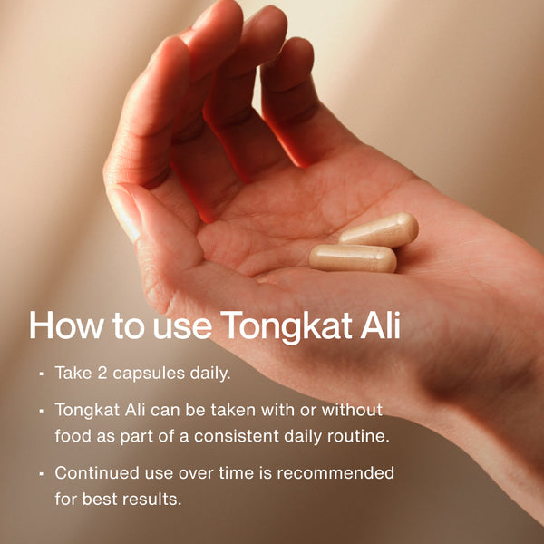 A hand holding two capsules with text instructions on how to use Tongkat Ali, recommending taking two capsules daily and maintaining consistent use for best results.