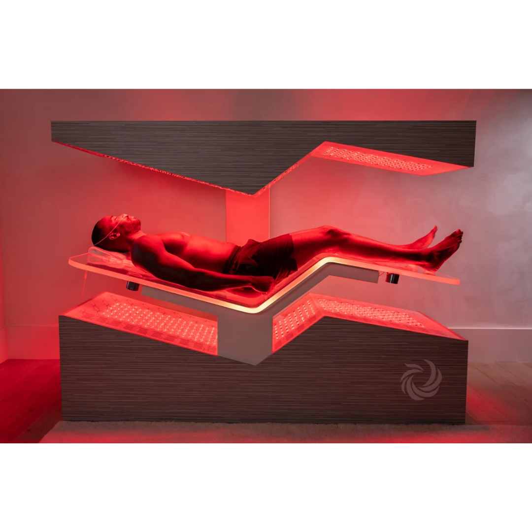 Ammortal Chamber | Ammortal