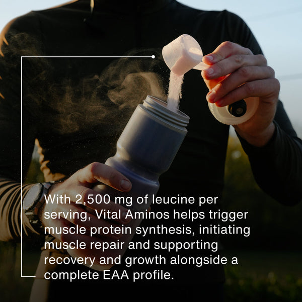 Person in outdoor setting pouring a scoop of Vital Aminos powder into a shaker bottle, highlighting the supplement’s muscle repair and recovery benefits with 2,500 mg leucine per serving.