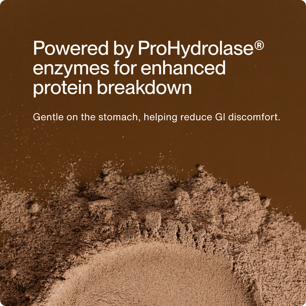 Close-up of a scoop of brown protein powder with text highlighting ProHydrolase enzymes for enhanced protein breakdown and gentle digestion, promoting reduced GI discomfort, related to Whey Protein Isolate - Flavor Series.
