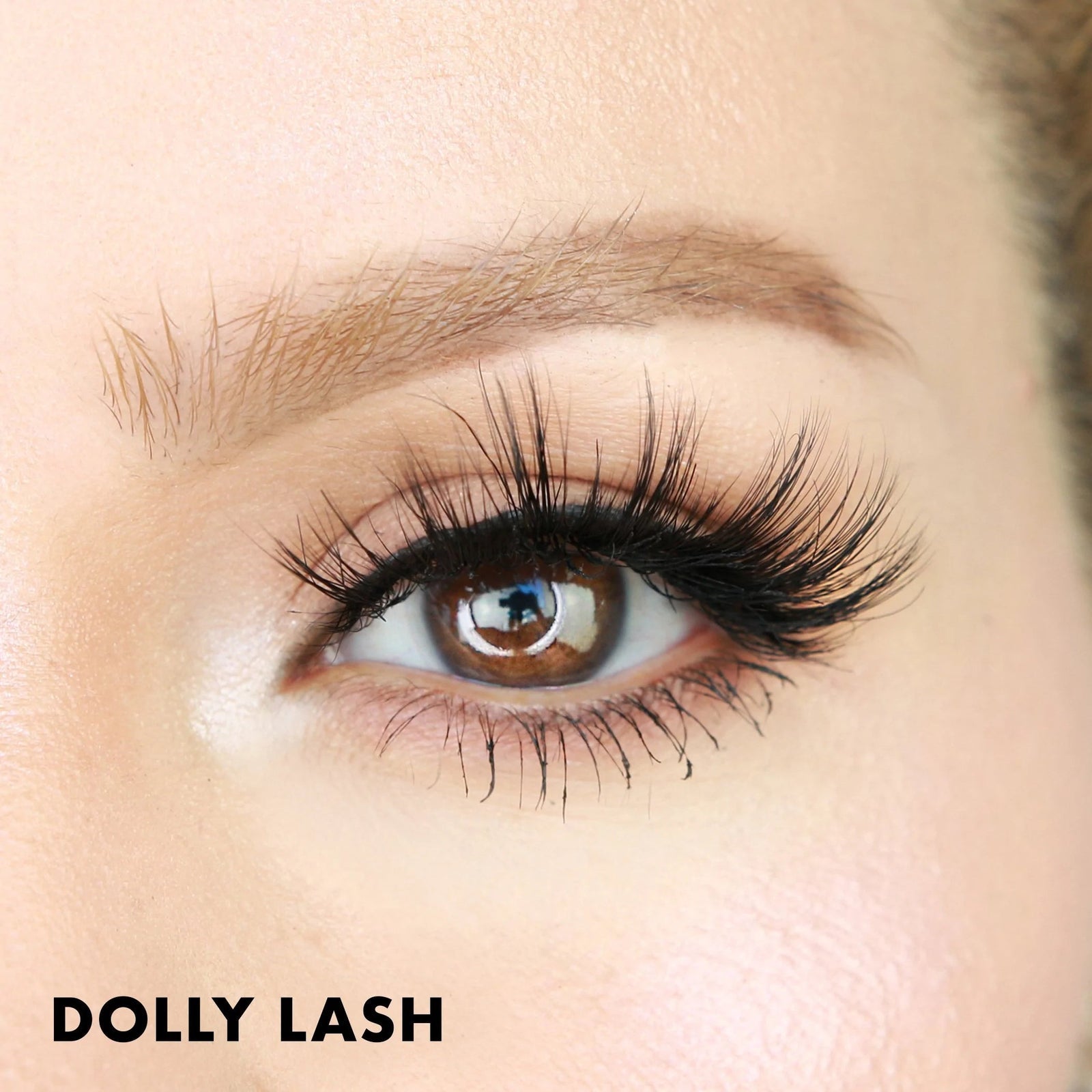 Dolly Lash | Moxielash