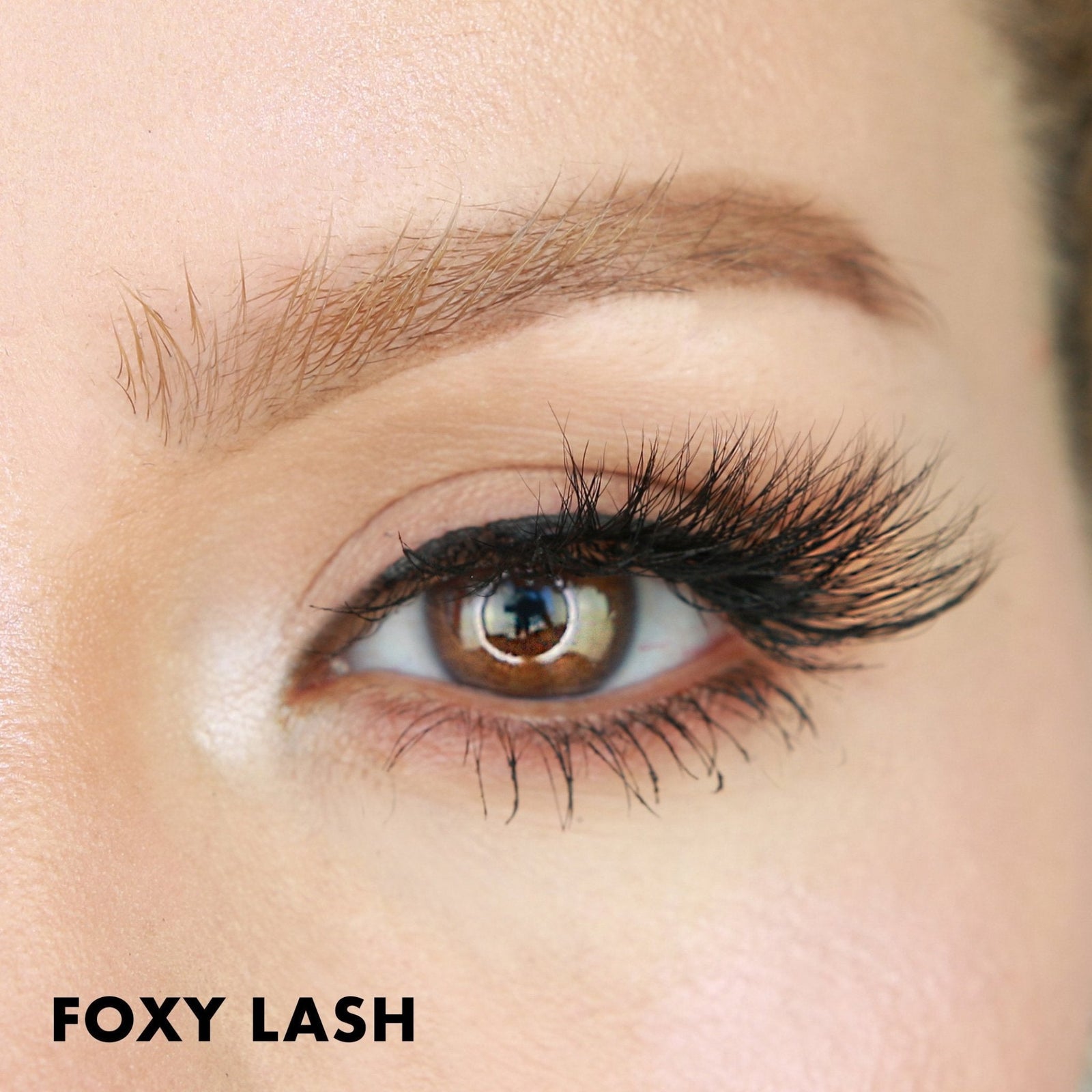 Foxy Lash | Moxielash