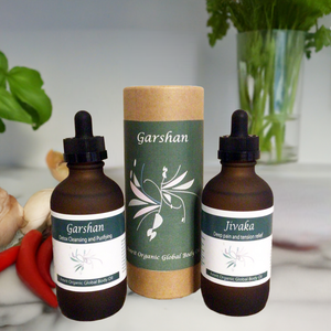 Garshan Body Oil | Red Cherry Group in dark glass dropper bottle with natural packaging, displayed alongside Jivaka oil and fresh herbs for skincare and body care wellness.