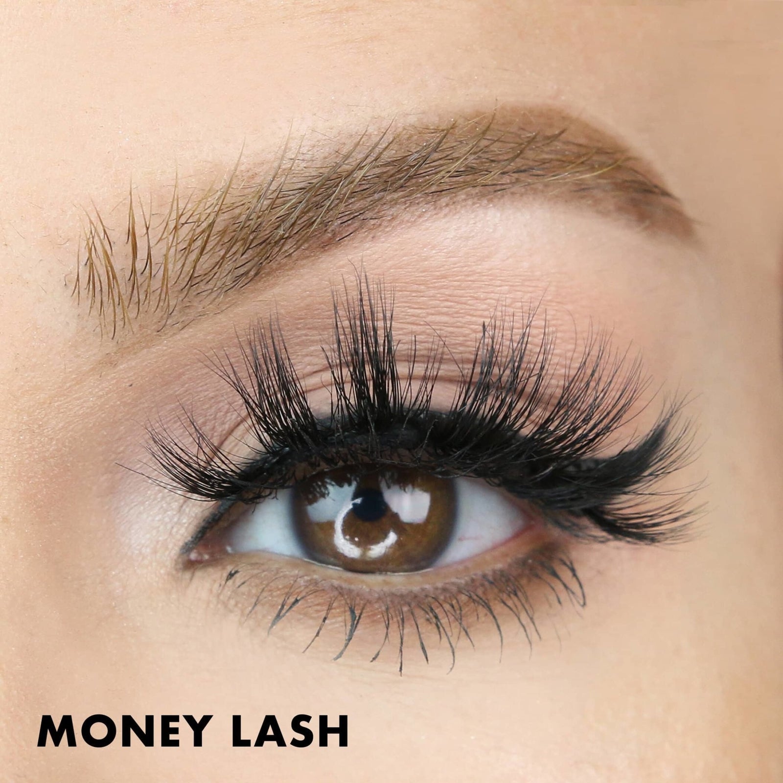 Money Lash | Moxielash