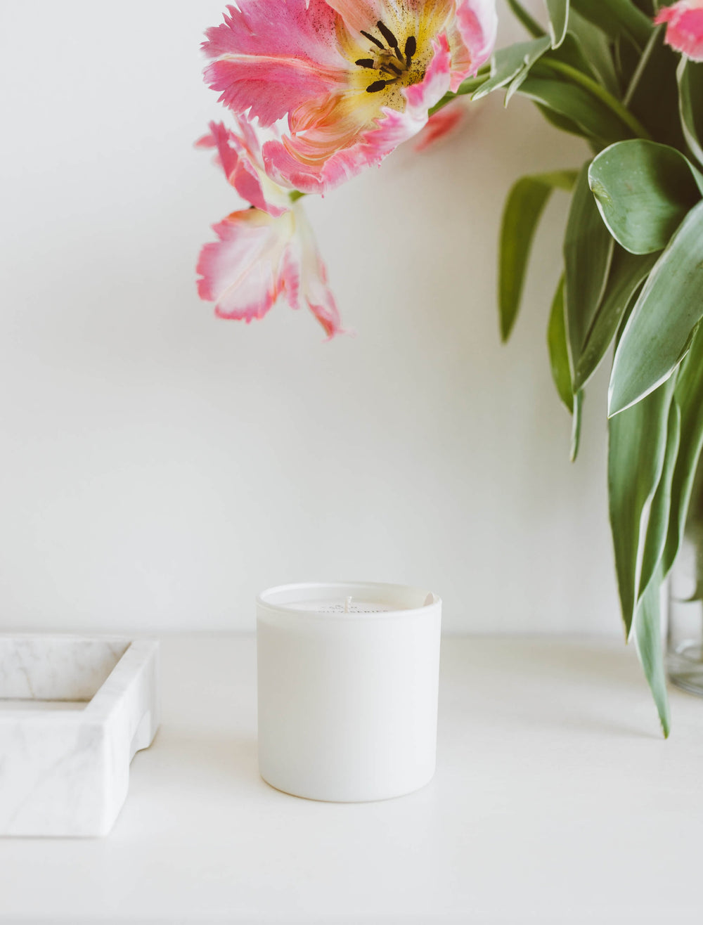 Aspen + Fog Dignity Series Glass Jar Soy Candle | Calyan Wax Co. - 5.3 oz