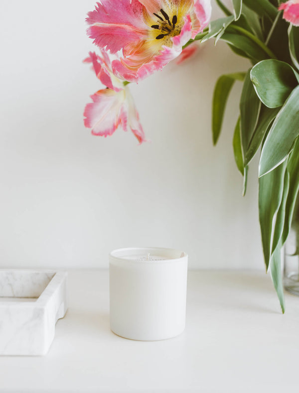 Aspen + Fog Dignity Series Glass Jar Soy Candle | Calyan Wax Co. - 5.3 oz